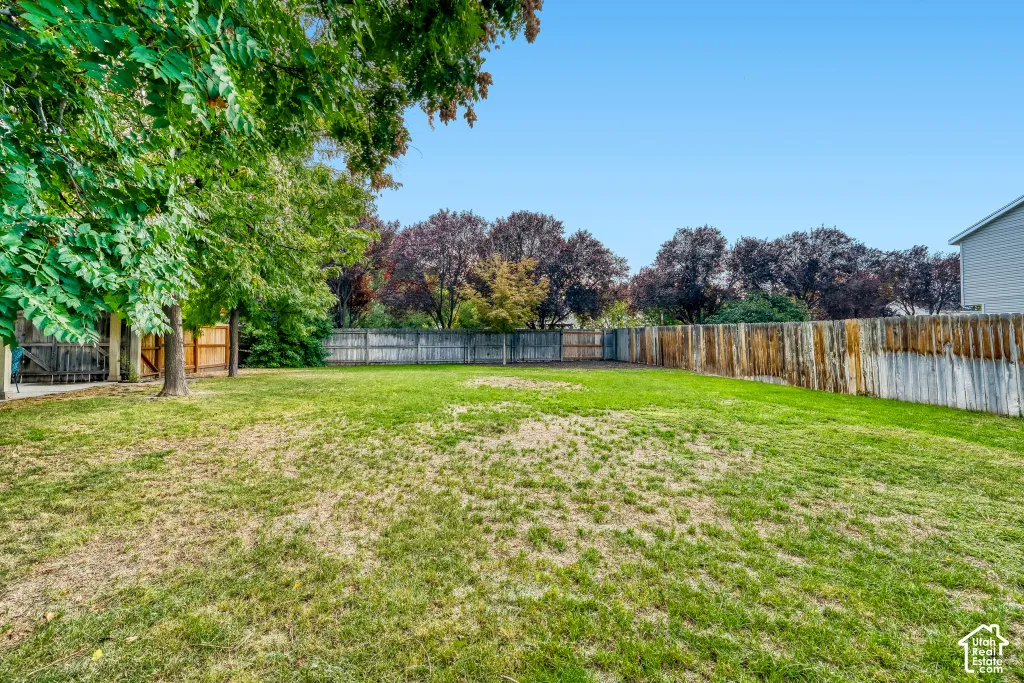 Expansive backyard featuring a manicured lawn, mature trees, and wood fencing