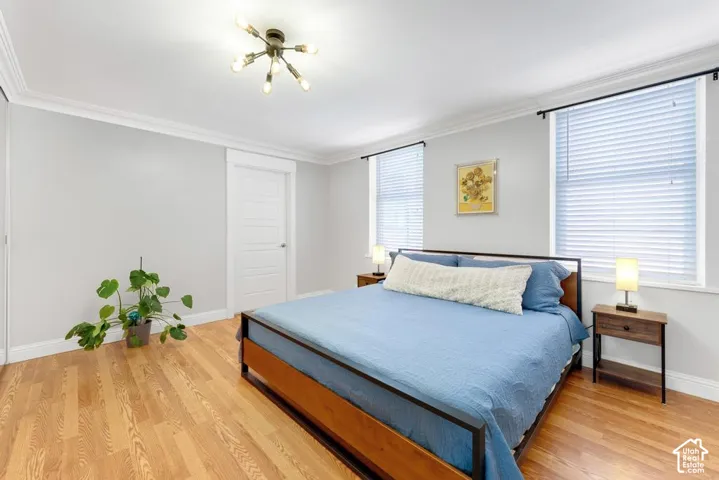 Wood-finish flooring, crown molding, double windows with blinds, a modern sputnik-style ceiling fixture, and a paneled interior door