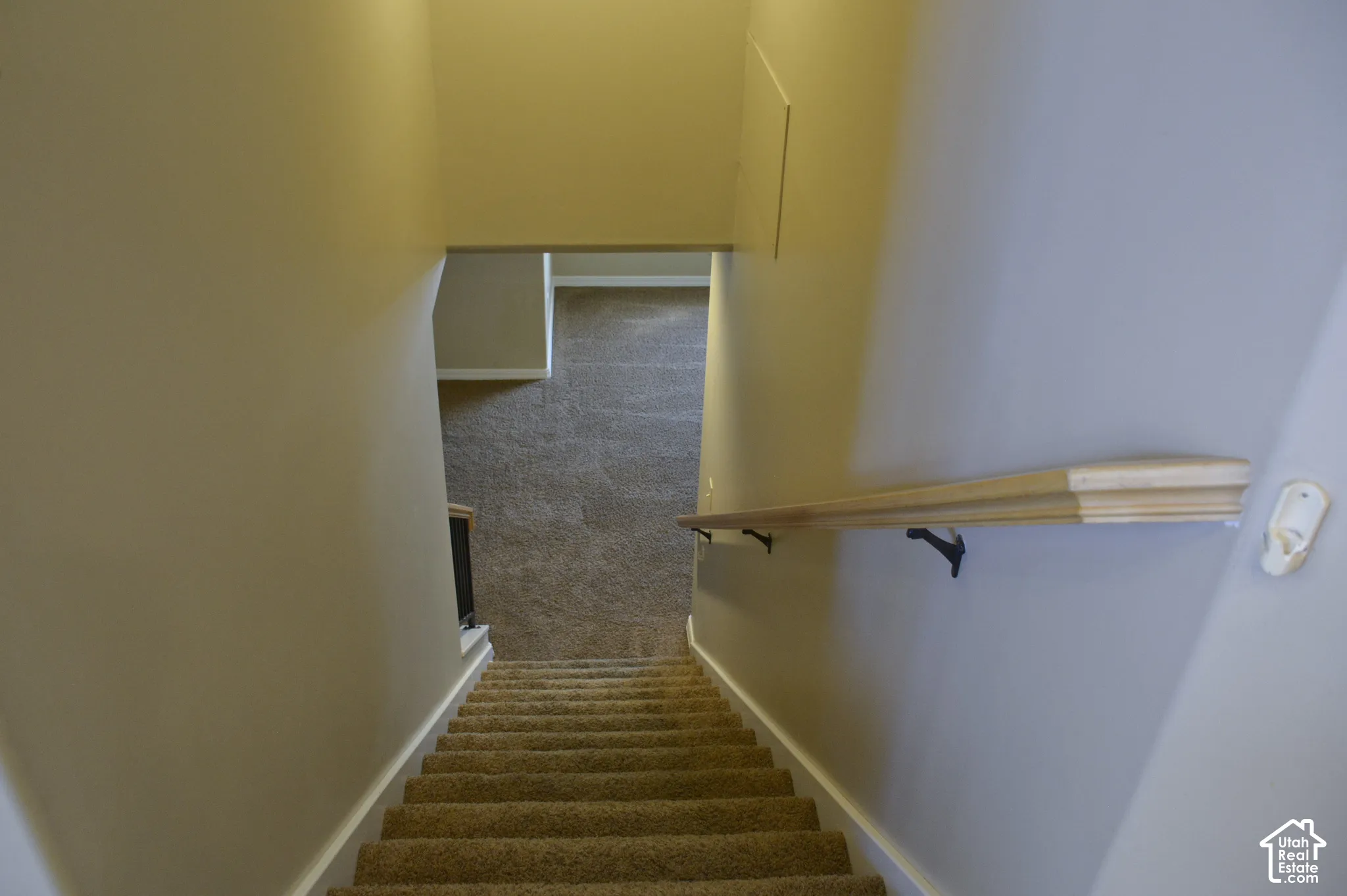 Carpeted staircase with a natural wood handrail