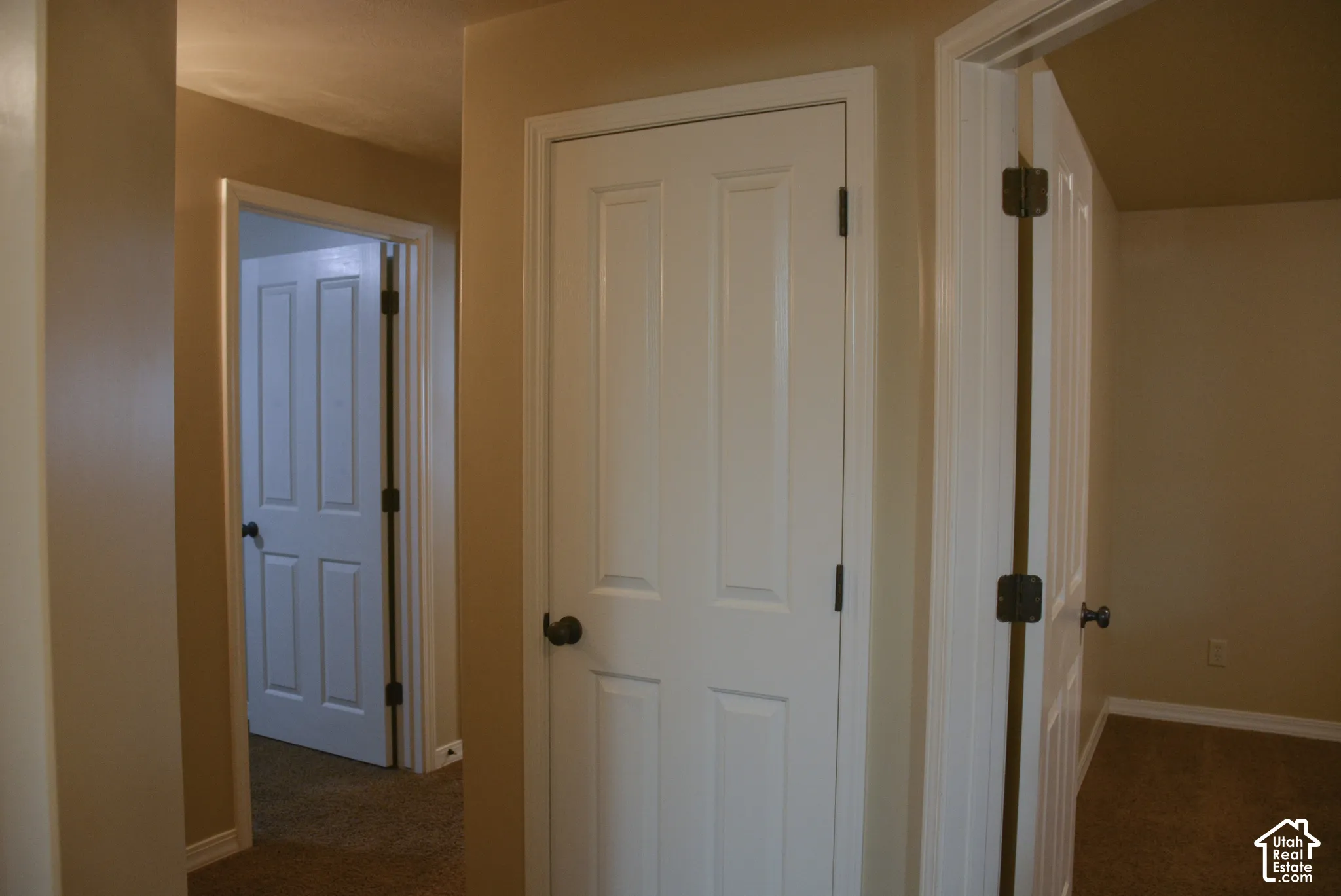Panel doors with matte black hardware