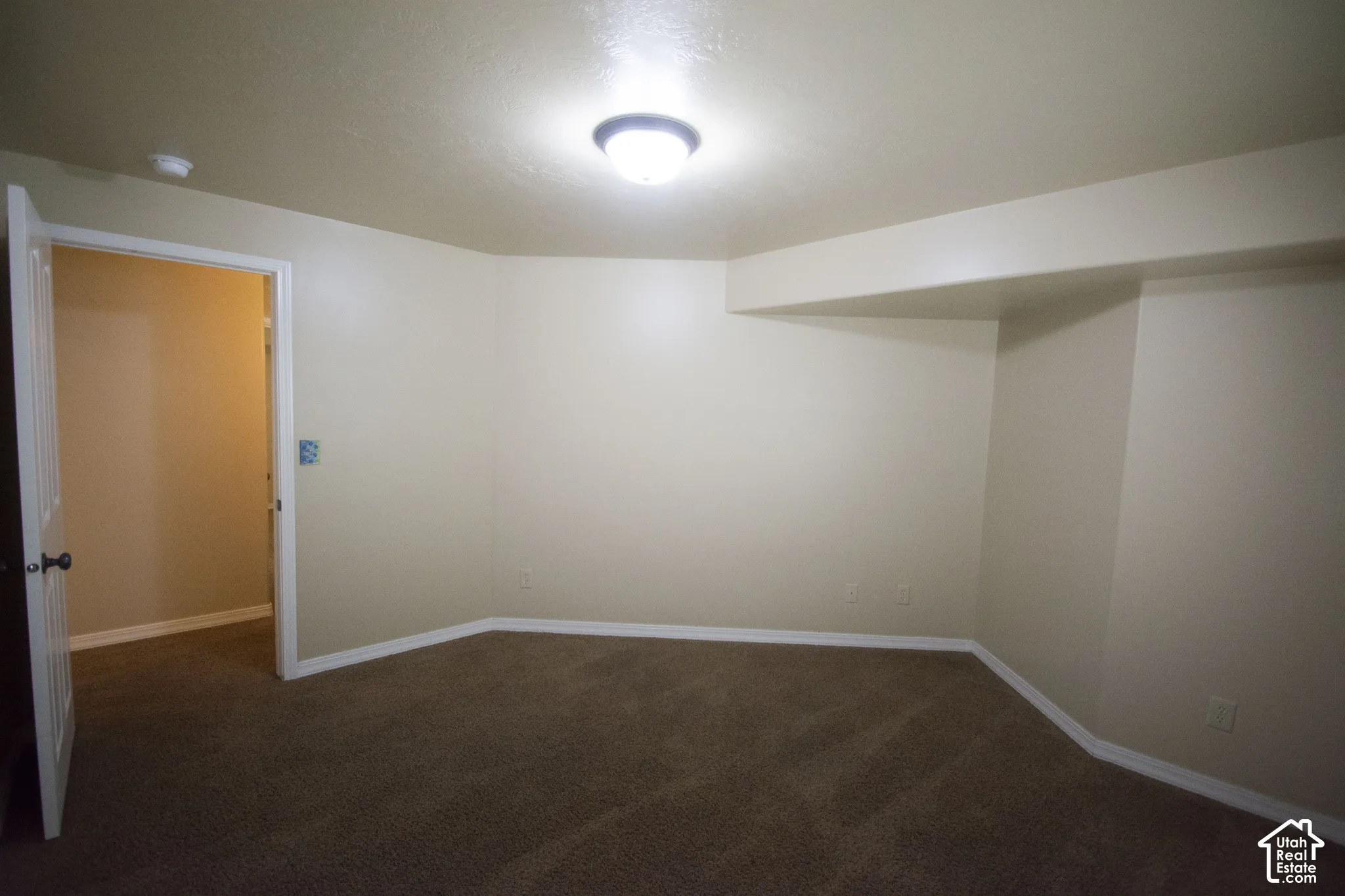 Neutral wall paint, ceiling-mounted light fixture, carpeting, and white trim