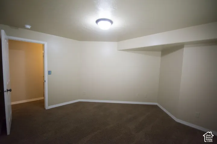 Neutral wall paint, ceiling-mounted light fixture, carpeting, and white trim