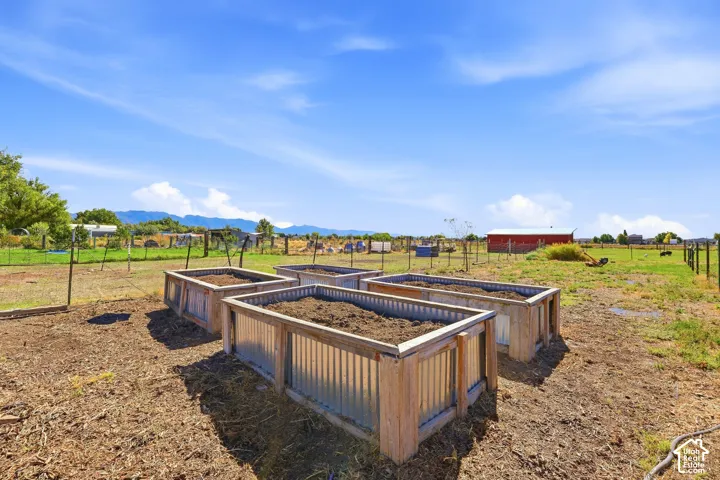 Raised garden boxes with drip irrigation system included