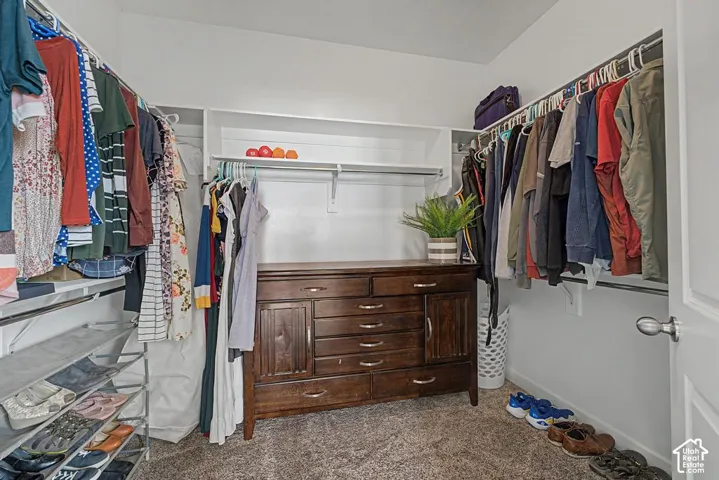 Built-in shelving and hanging rods with carpeted flooring