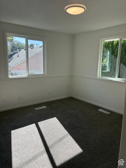 Neutral wall color with white trim, gray carpeting, dual windows, and ceiling-mounted light fixture
