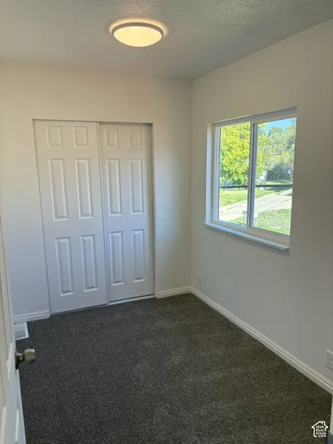 Plush carpet flooring, double panel closet doors, ceiling-mounted light fixture, white trim, and a window with natural light
