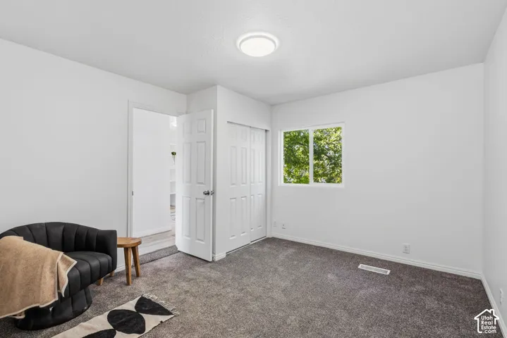 Neutral wall finishes, carpet flooring, a window with exterior foliage, and a closet with bifold doors