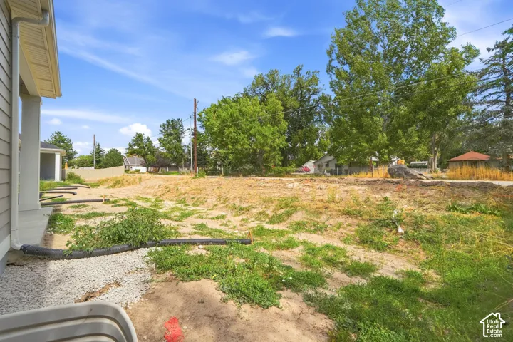 Expansive cleared lot with mature trees in the background