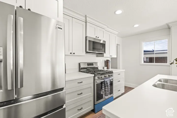White shaker-style cabinetry with crown molding, stainless steel appliances, recessed ceiling lighting, and a double basin stainless steel sink