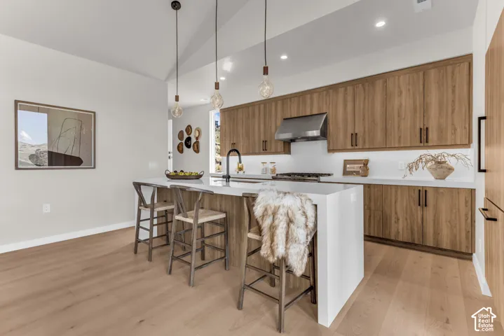 Wood-finish flooring, vaulted ceilings, and a kitchen island with a white countertop