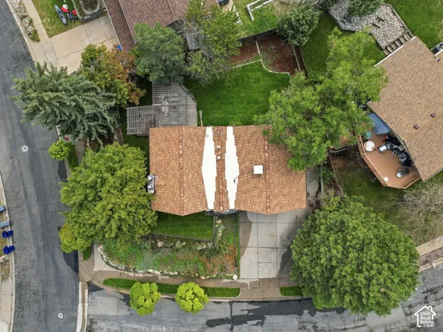 Paved driveway with direct street access, surrounded by mature trees and varied landscaping