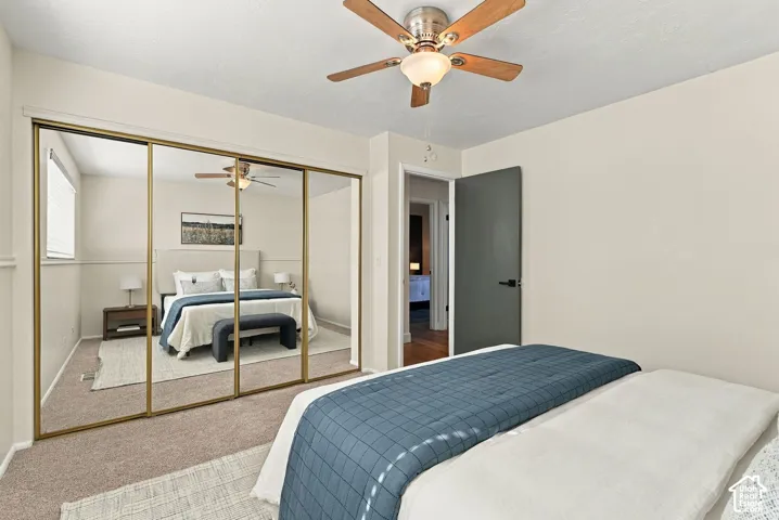 Mirrored closet doors with gold-finish frames, ceiling fan with integrated lighting, wood-finish flooring visible through doorway, and carpeted flooring