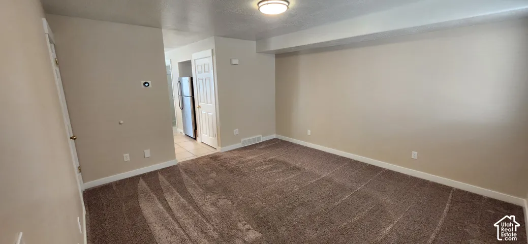 Carpeted living area with neutral wall tones and a ceiling-mounted light fixture