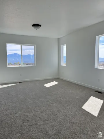Gray carpeting with white trim, multiple windows, and a flush mount ceiling light fixture