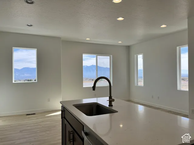 Kitchen island with an undermount sink, gooseneck faucet, and light-toned countertop