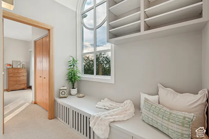 Hallway with built in storage and valley views.