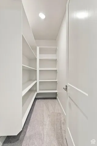 Built-in shelving, recessed lighting, wall-to-wall carpeting, and panel door
