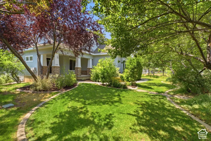 Expansive front yard with manicured lawn, established shade trees, and a stone-clad porch with white columns