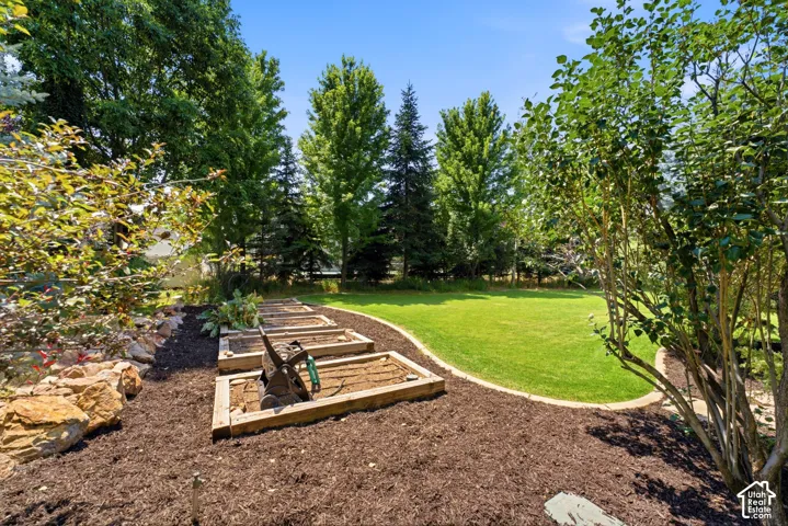 Expansive rear yard featuring a manicured lawn, established trees, and raised garden beds