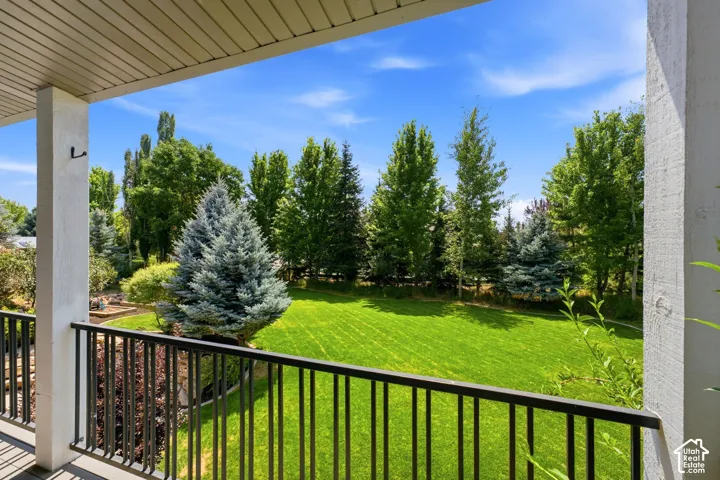 Expansive green lawn framed by mature trees, featuring a prominent evergreen