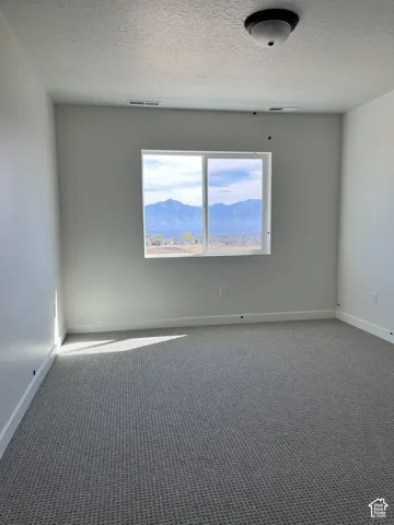 Neutral wall color, wall-to-wall carpeting, white baseboards, semi-flush mount ceiling light, and a window with mountain scenery