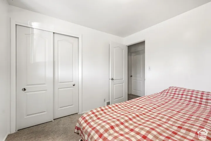 Neutral wall color, carpeted flooring, and white two-panel bi-fold closet doors