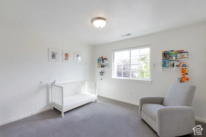 Bright room featuring a large window, soft grey carpeting, and light-colored walls