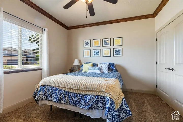 Expansive window with horizontal blinds, wood-finish window trim, and wood-finish crown molding