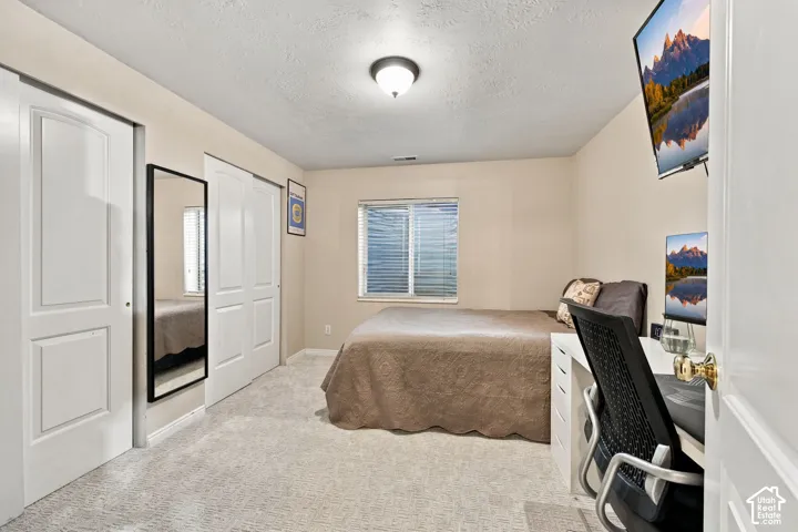 Recessed window with horizontal blinds, overhead flush mount lighting, two-panel closet doors, and carpeted flooring