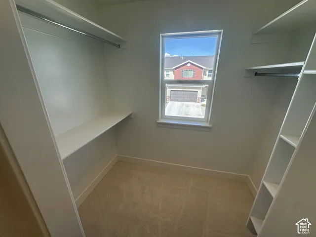 Walk-in closet featuring carpeted flooring, built-in shelving, a single window, and clothing rods