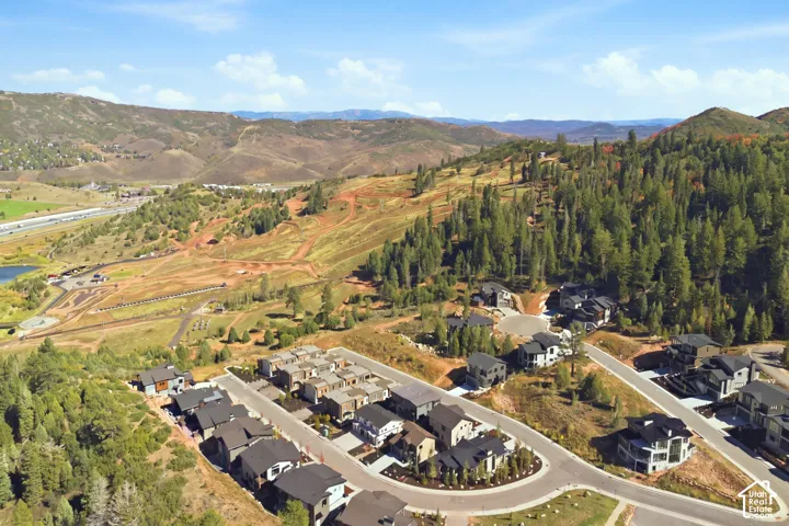 Homes situated on a developed hillside with mountain terrain and lush tree coverage