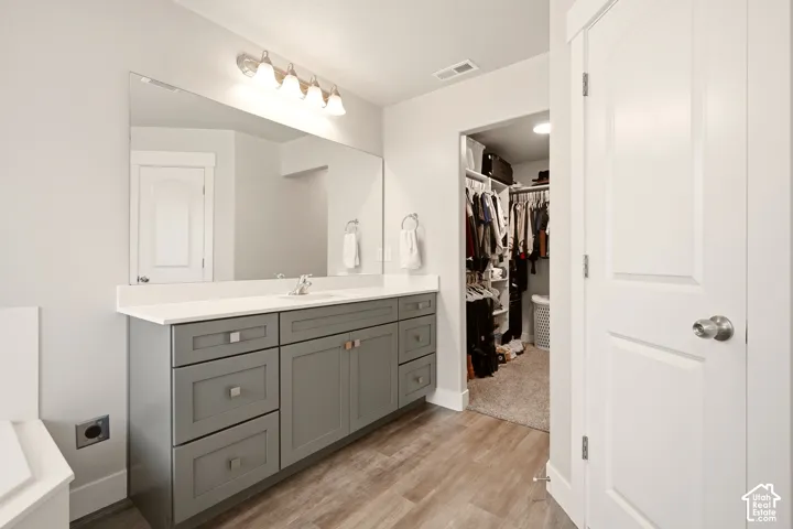 Vanity with a white countertop and undermount sink, wood-finish flooring, and an adjacent walk-in closet