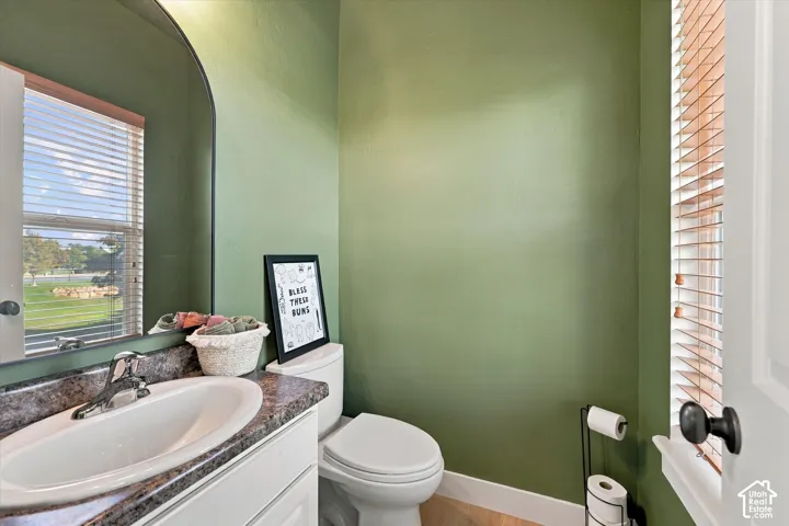 Powder room featuring soft green painted walls, a round white porcelain sink set in a dark stone countertop, white ceramic toilet, and wood-finish flooring