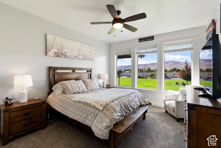 Carpeted room with a ceiling fan, three large windows, and white trim