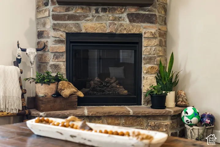 Corner fireplace featuring a stone surround, a stone hearth, and a dark mantle