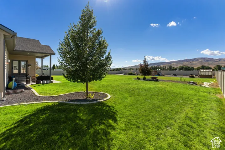 Expansive backyard featuring a manicured lawn, established tree, covered patio, and gravel landscaping