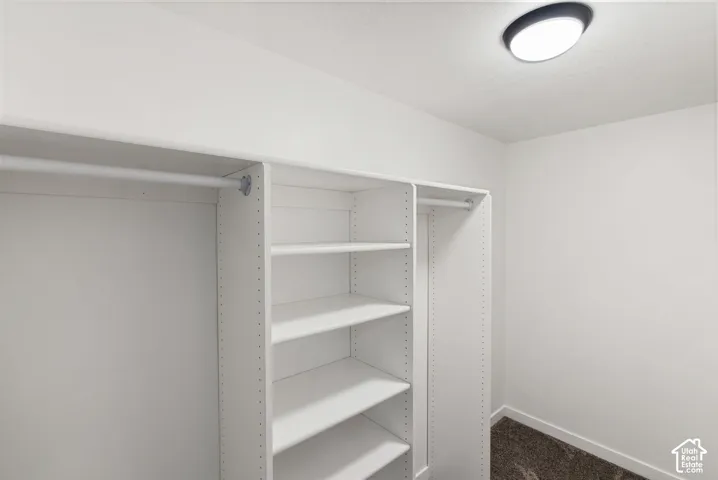 Custom closet shelving with hanging rods, built-in storage, and flush-mount ceiling lighting