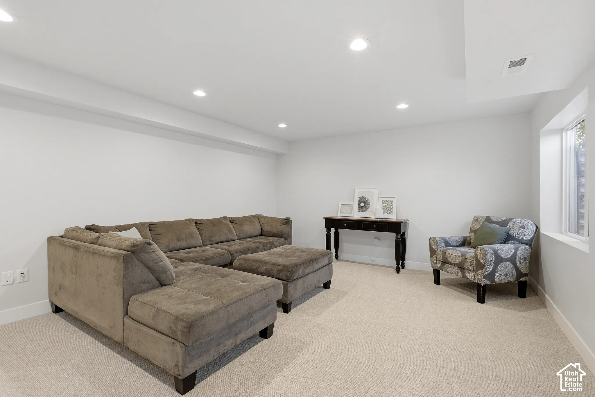 Lower level family room