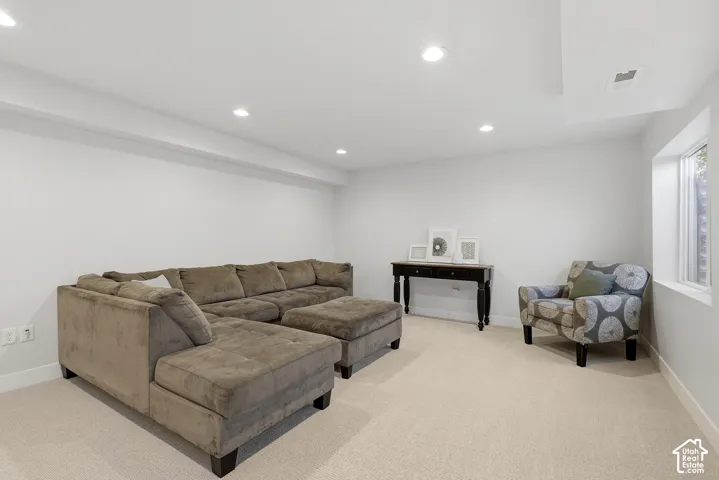 Lower level family room