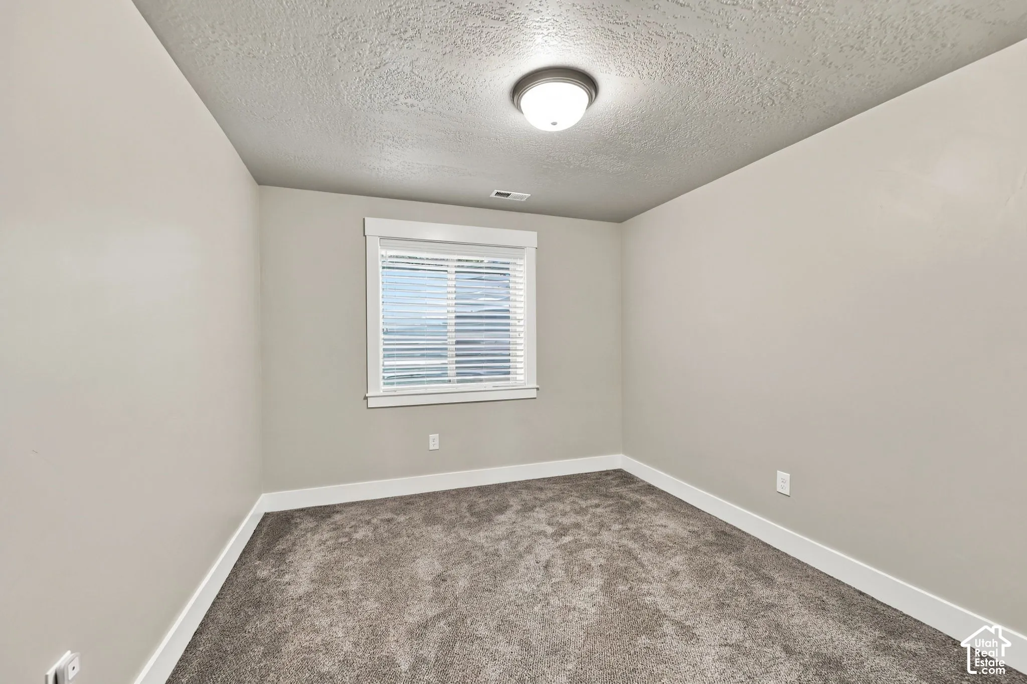 Neutral wall finish, window with white blinds, flush-mount ceiling light, and gray carpet flooring