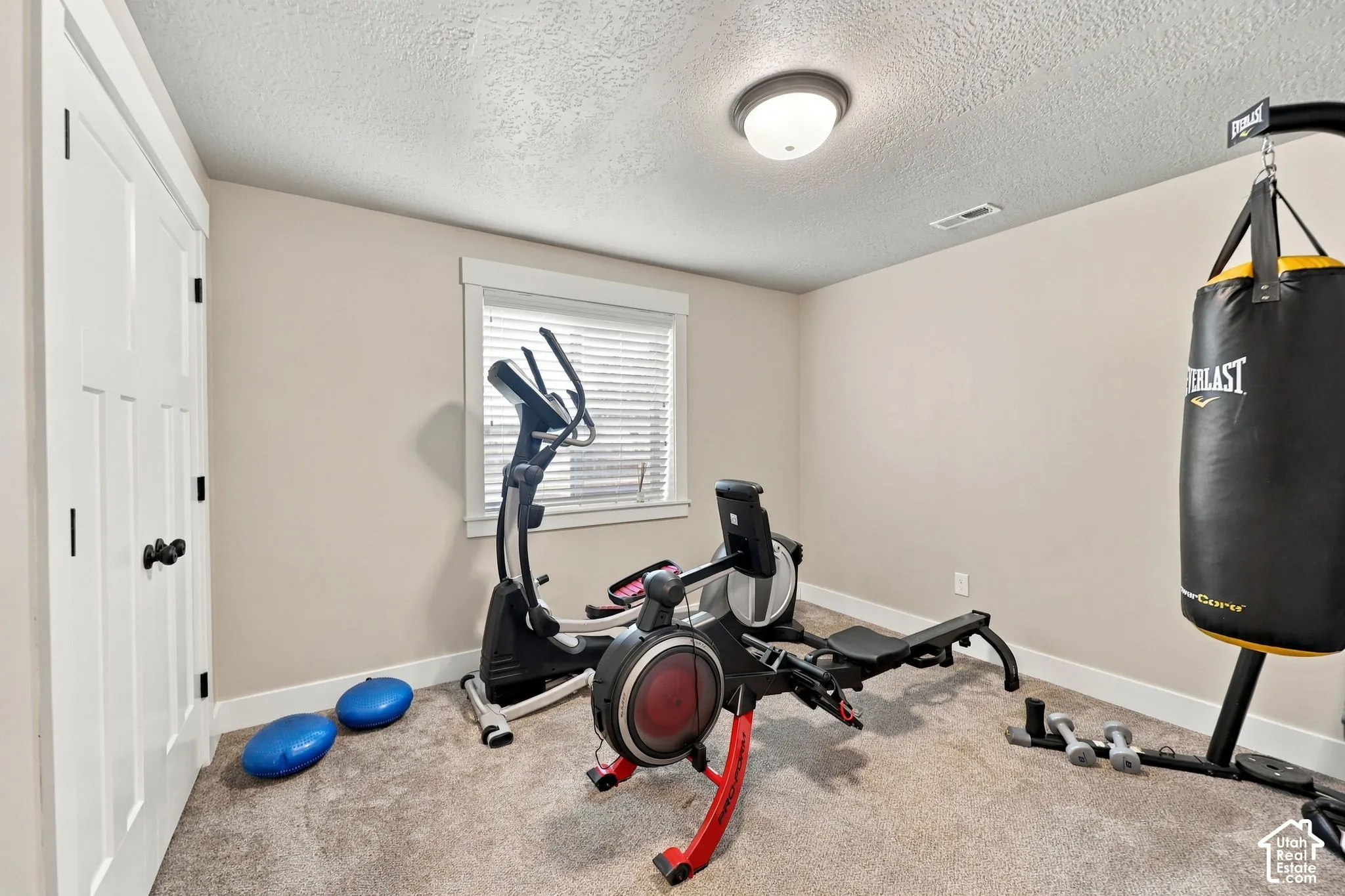Carpeted room with a single window, white trim, and a semi-flush ceiling light fixture