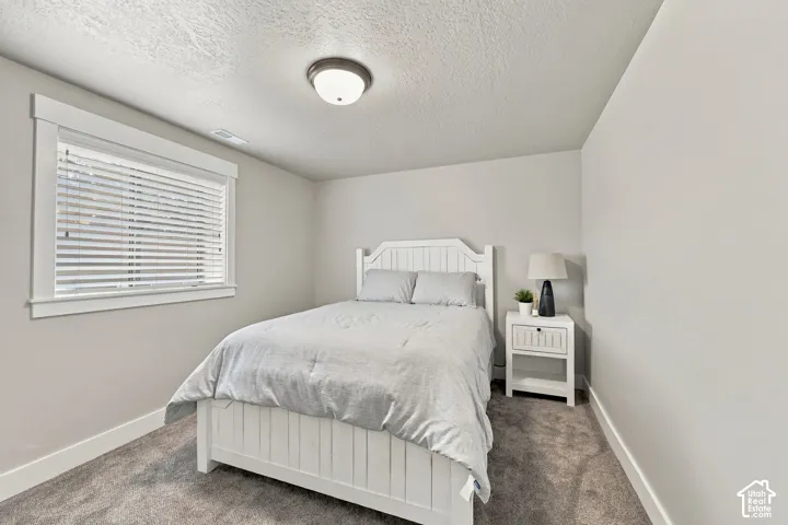 Neutral wall paint, textured ceiling, window with blinds, carpeted flooring, and a flush mount ceiling light