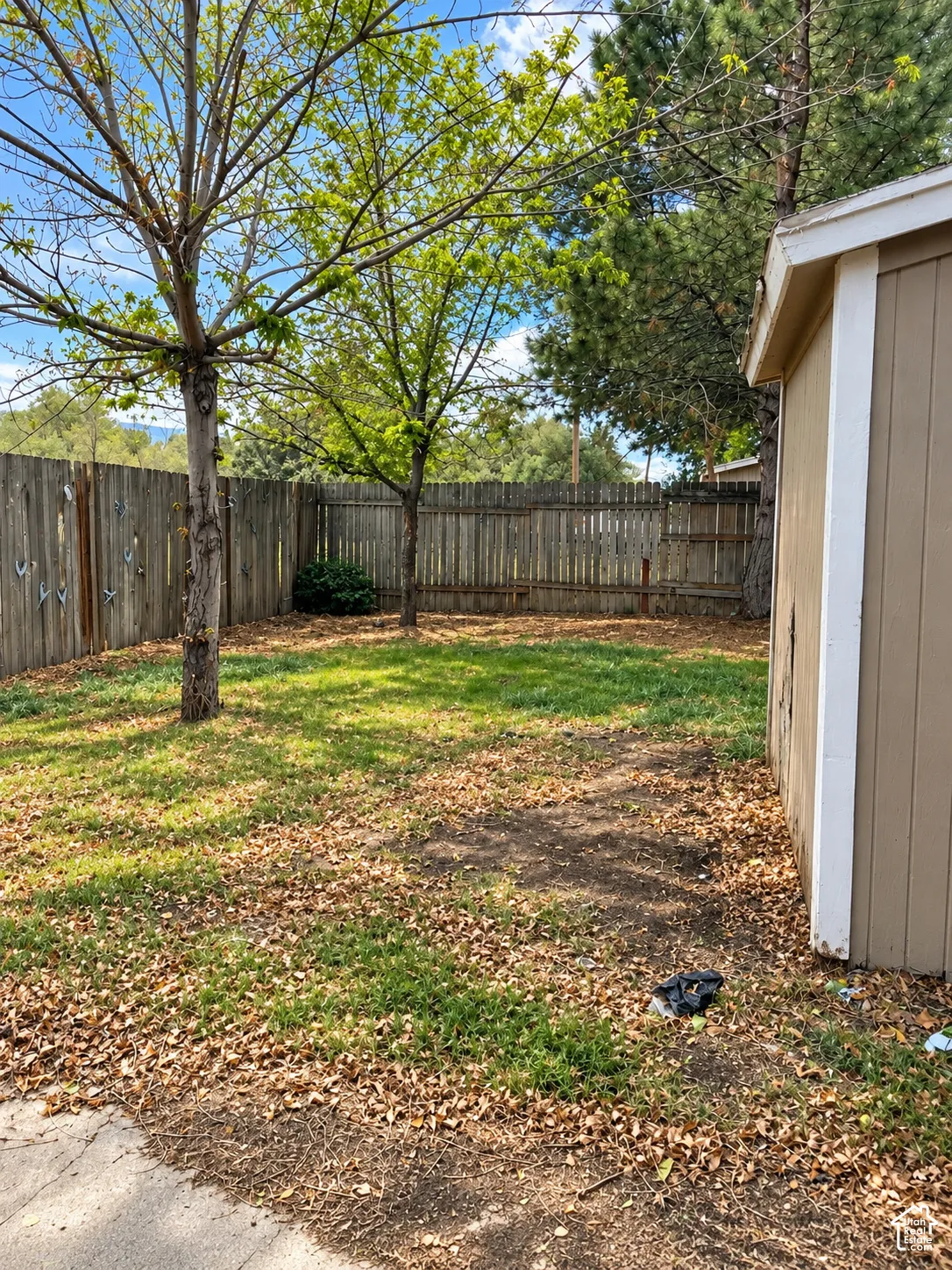 Fenced yard with mature trees and a detached shed structure