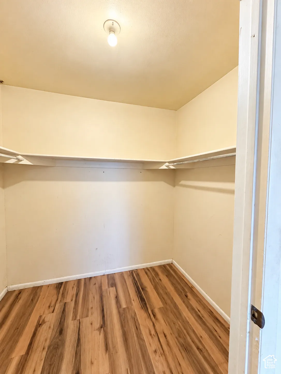 Walk-in closet featuring wood-finish flooring, built-in shelving, and a ceiling-mounted light fixture
