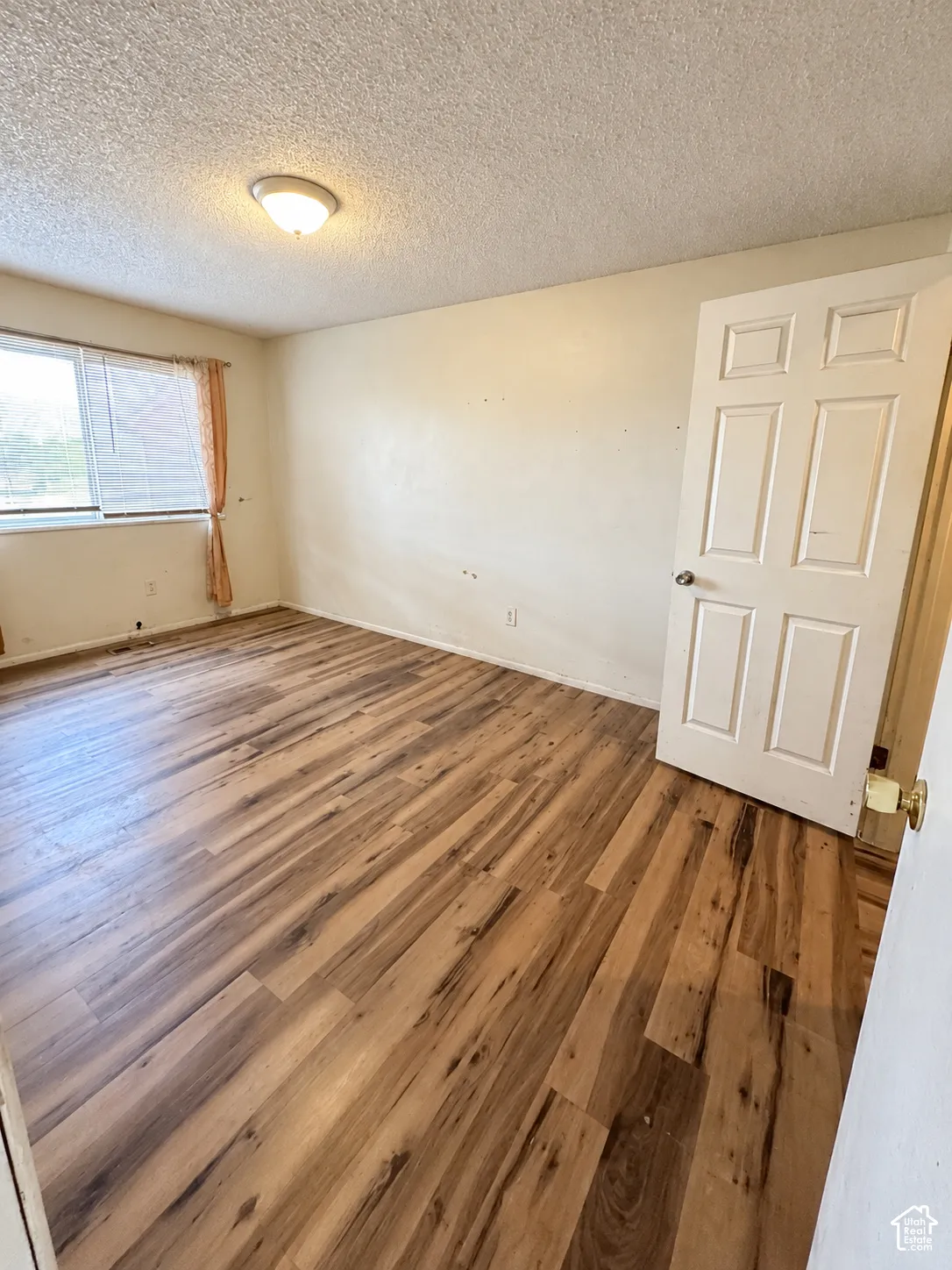 LVP flooring throughout, paired with a six-panel interior door