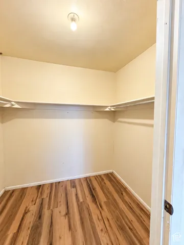 Walk-in closet featuring wood-finish flooring, built-in shelving, and a ceiling-mounted light fixture