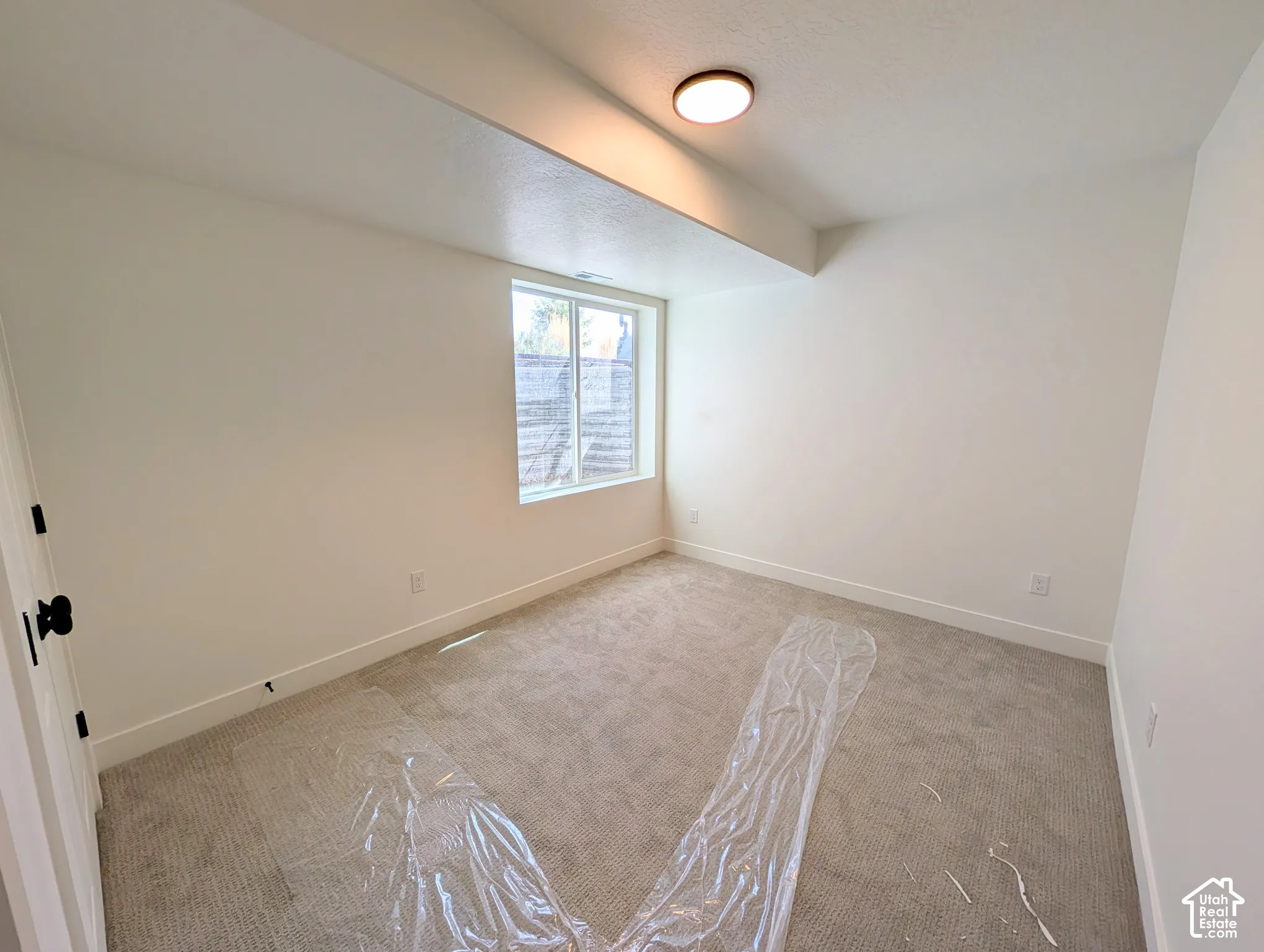 Bedroom #4- Basement