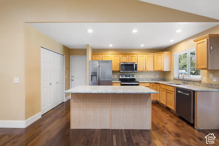 Kitchen featuring wood-finish flooring, recessed lighting, wood cabinetry, stone countertops, and stainless steel appliances