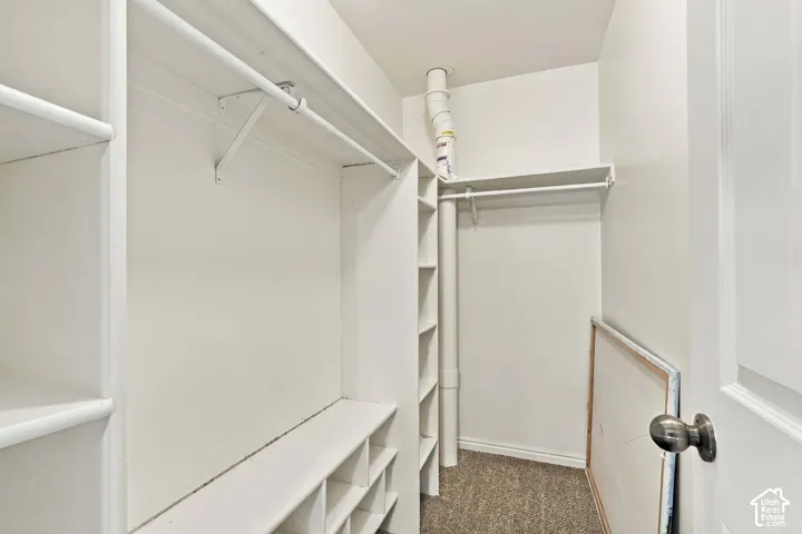 Walk-in closet featuring built-in shelving, hanging rods, and carpet flooring