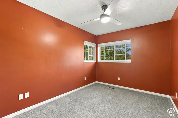 Textured ceiling with a contemporary ceiling fan and light fixture